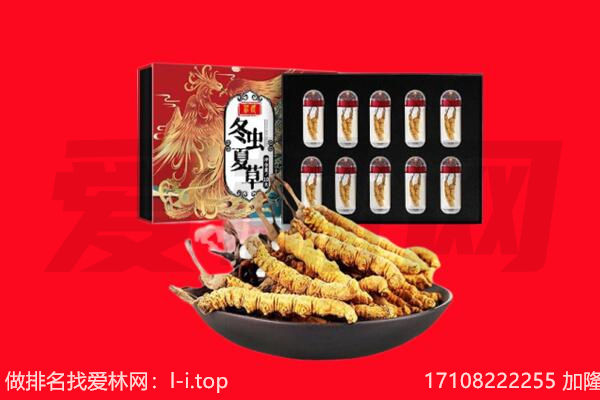 鼎湖区回收虫草.jpg